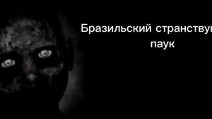 ты увидел это насекомое мистер исключительный становится жутки?