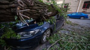 Землетрясения, ураганы, потопы: главные правила, которые могут спасти жизнь и имущество