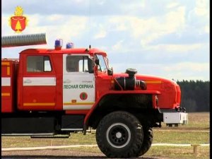 Совместные учения МЧС и лесной охраны по ликвидации лесных пожаров