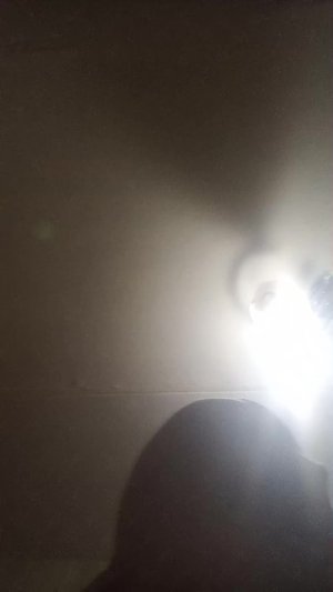 купил новую одежду