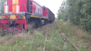 Маневровый тепловоз ТЭМ2УМТ-521 с двумя крытыми вагонами следует мимо заброшенного стрелочного поста