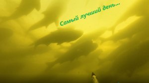 Подводная охота на Белоярском водохранилище. Самая интересная охота в этом году!