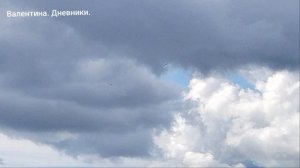 Ястребы высматривают добычу.
