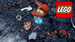 ЛЕГО 1 ГОД ПОД ЗЕМЛЕЙ - Что произойдет с деталями LEGO если их закопать на 1 год под землю [niklax]