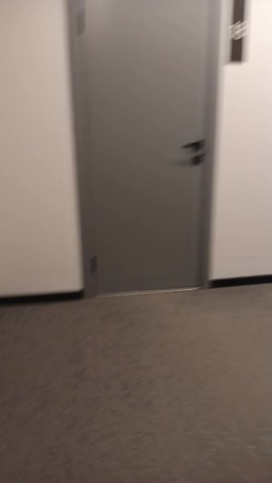 даша