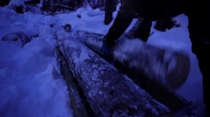 СТРОЮ БОЛЬШОЙ ДОМ В ЛЕСУ - КРЫША ГОТОВА | ЖИВУ В ДОМЕ НА ДЕРЕВЕ