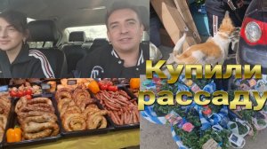 Купили рассаду; Рынок  Лесной. Покупки  в Сильпо. VLOG