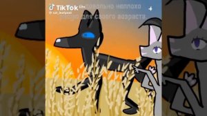 Коты воители.реакция на Виолетт в тик ток