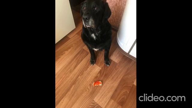 БЛЭЙД смотреть онлайн