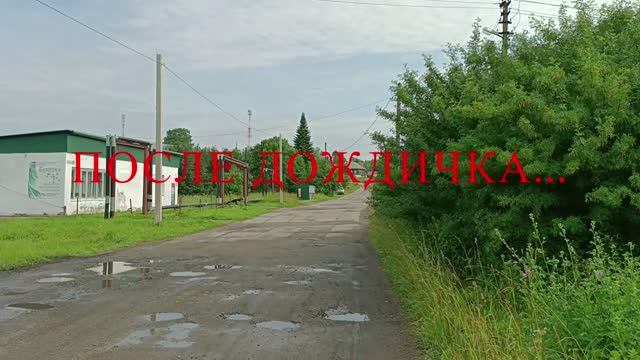 ПОСЛЕ ДОЖДИЧКА
