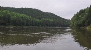 Travel Зеленогорск