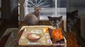кошки обедают за столом. Кошки Карамелька и Кофе едят