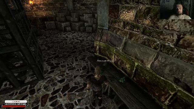 Ванильная "Gothic II: Ночь Ворона" Часть 1.