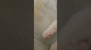24 часа у бабушки часть 1