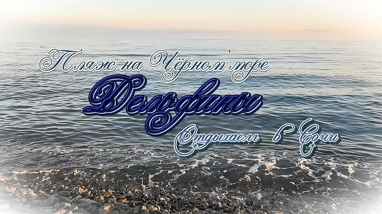 Дельфины в Чёрном море. Отдых в Сочи.