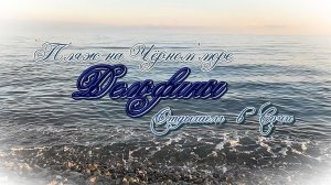 Дельфины в Чёрном море. Отдых в Сочи.