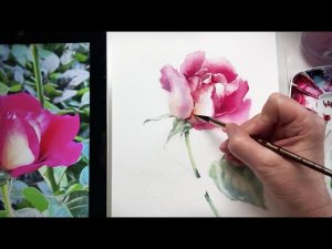 «Роза» 🌹Мастер-класс, акварель. «Rose», step by step master class, watercolor.