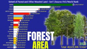 Countries with the Largest Forest Area in the World | km²