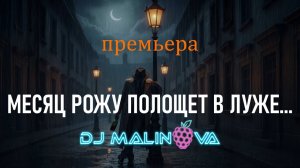 Песня на стихи Есенина – «Месяц рожу полощет в луже» | DJ Malinova | Новая песня 2025 (Премьера)