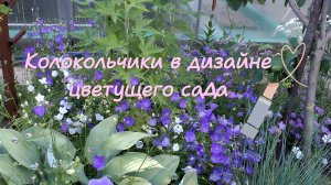 Колокольчики в дизайне цветущего сада (4К)