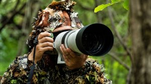 Орнитологи и фотографы наблюдают за гнездованием птиц в Армении