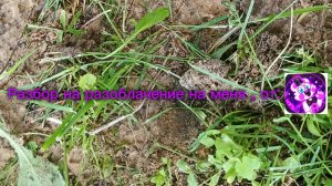Разбор на разоблачение на меня , от: helpik