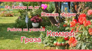 26-06-2026/Купили дом на юге/Наслаждаемся южной жизнью/Наши будни/Работа на участке и дома/Гроза
