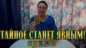 ВЫ ДОЛГО ЭТОГО НЕ ЗАМЕЧАЛИ! ЧТО ТАЙНОЕ ОТКРОЕТСЯ? | Таро расклад