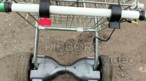 №104 Тачка на моторколёсах и управлении курками груз до 100 килограмм