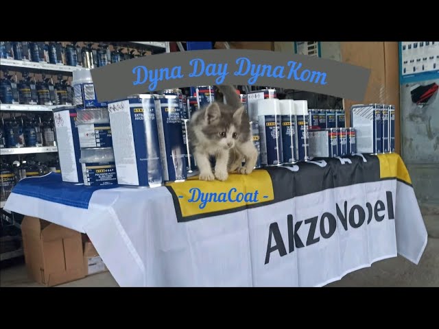 DynaDay в Пятигорске 30.07.2021г. При участии технического специалиста Akzonobel Александра Есипова📷 смотреть онлайн