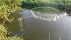 Кастинговая сеть испанка ф4,68м при высоком уровне воды.