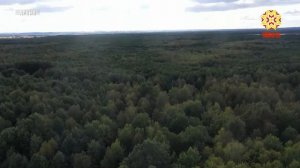 В Чувашии начался сезон лесопатологических обследований