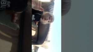 1000000886.mp4