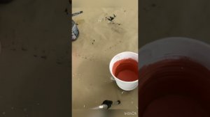 Простой декор металлического ведёрка мини мастер-класс. Домашний декор. Перекраска.
