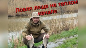 Ловля леща на фидер, теплый канал, апрель 2026
