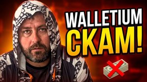 Walletium перестал платить! Какие выводы я сделал после этой ситуации?