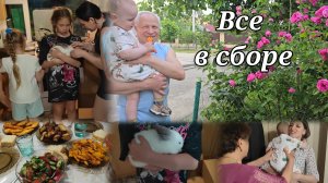 Вся семья в сборе/ Приехала сестра с мужем и детьми из Москвы/ Хорошо посидели/