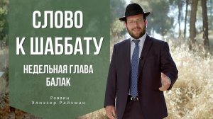 Слово к шаббату Балак от раввина Элиэзера Райхмана