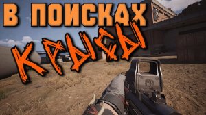 В ПОИСКАХ КРЫСЫ (Arena Breakout Infinite)