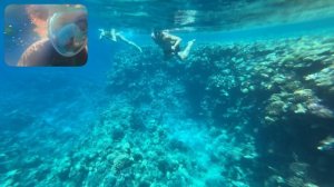 Concorde El Salam 5* Андрюша и море