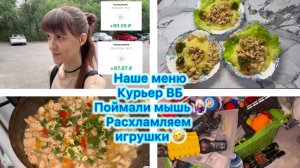 Экономное меню , курьер ВБ . Поймали мышь и саранчу 🤷🏼♀️ Расхламляем игрушки 🤣 #влог #вб #меню