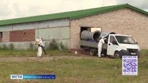Межрегиональные ветеринарные учения прошли в Вологодской области