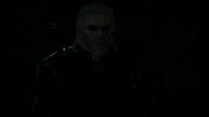 The Witcher 3 #воднаябаба