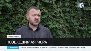 В Крыму и Севастополе ввели режим ЧС регионального характера