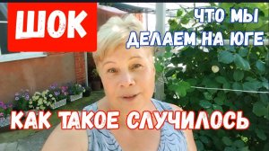 290🏡ШОК! КАК ТАКОЕ МОГЛО СЛУЧИТСЯ! ЗАЧЕМ МЫ НА ЮГЕ/ОПЯТЬ Пришлось заблокировать