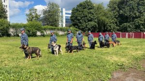 (Рыбинск-40) ЛУЧШАЯ КИНОЛОГИЧЕСКАЯ ПАРА