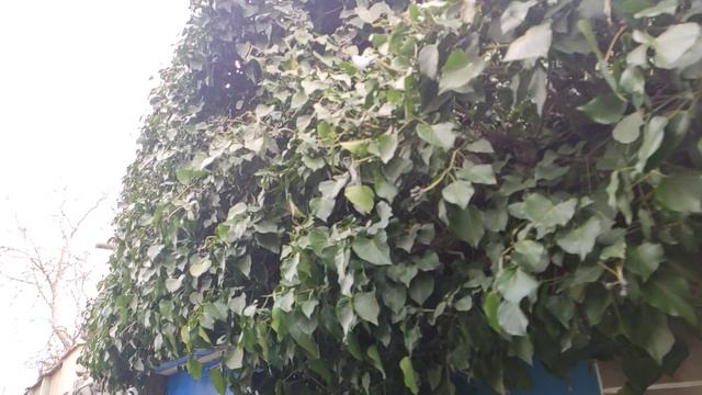 Один из дней города Евпатории | 9 марта 2022 год | Крым ХАН БАТОН XAH 6ATOH | VID_20220309_144702
