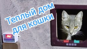 Теплый дом для кошки своими руками