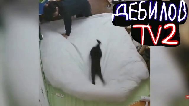 ДЕБИЛОВ ТВ 2 (22)