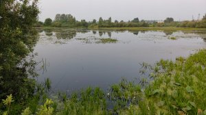 Красота Сибирской природы